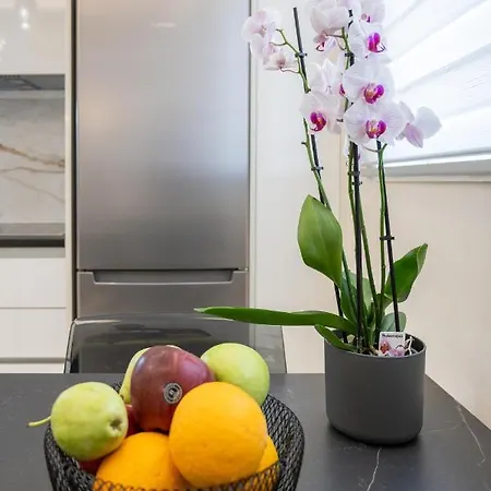 Acropolis Cozy Apartment Athens